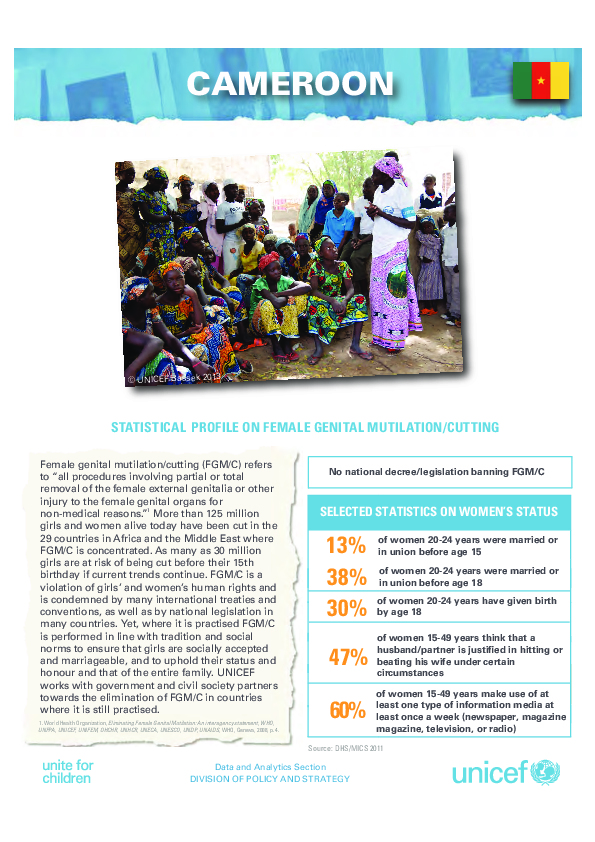 UNICEF Profile: FGM in Cameroon (2013)